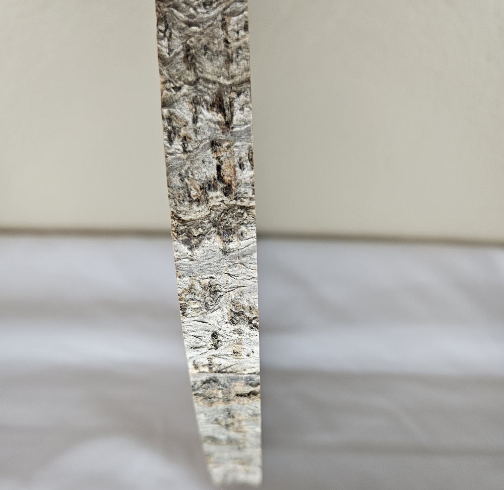 "All Of My Flabbers Are Gasted" Raccoon Wood Slice - Handmade - Picture 5 of 6